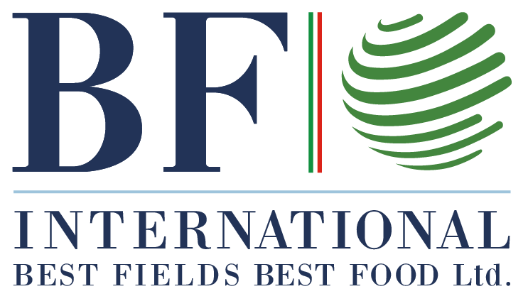 Bf International Logo