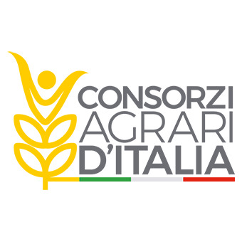 CAI Logo